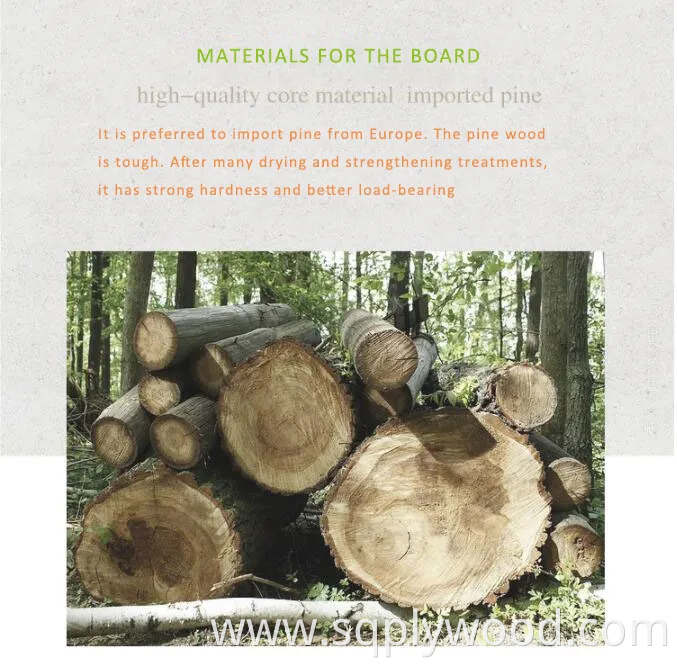 for Interior Wall Panel UV Glossy Laminated Pet Particleboard Melamine MDF